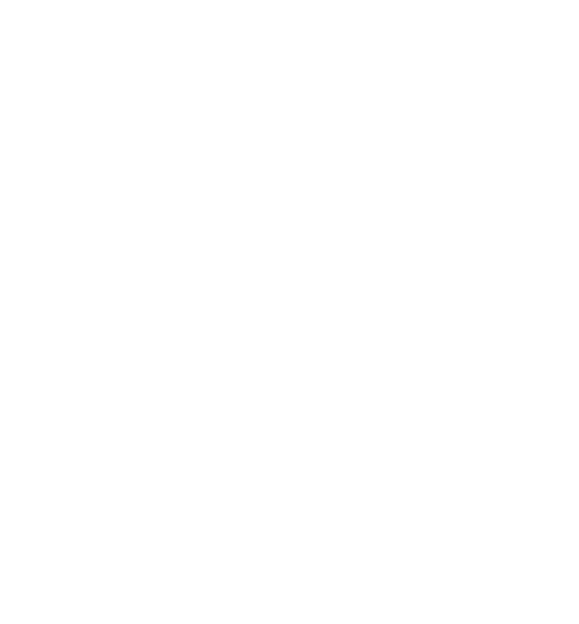 Chicken Illustration